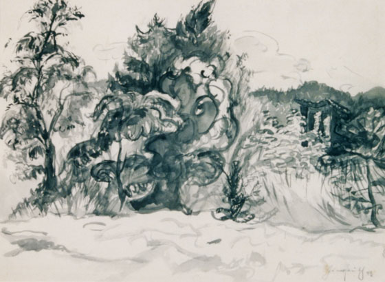 Edge of the Woods
